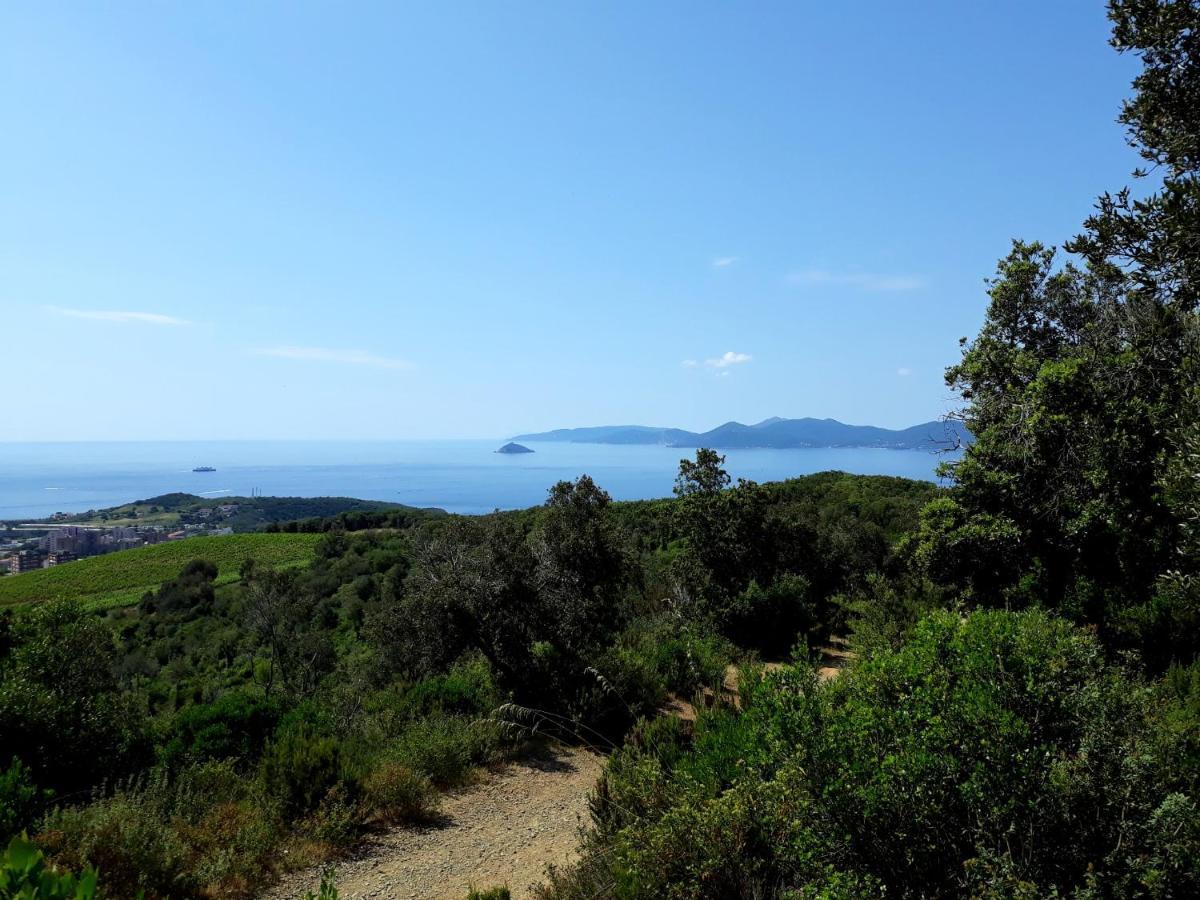 Appartamento Claudi A San Vincenzo Eksteriør bilde